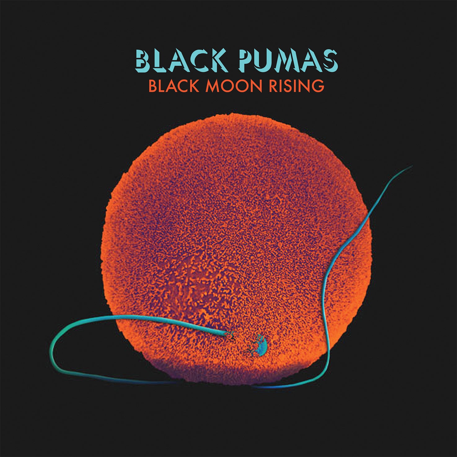 Black Pumas Black Moon Rising 45 tours vinyle bleu soul psyché