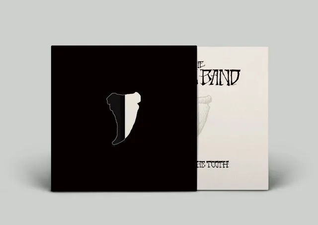 The Budos Band Long In The Tooth vinyle LP funk