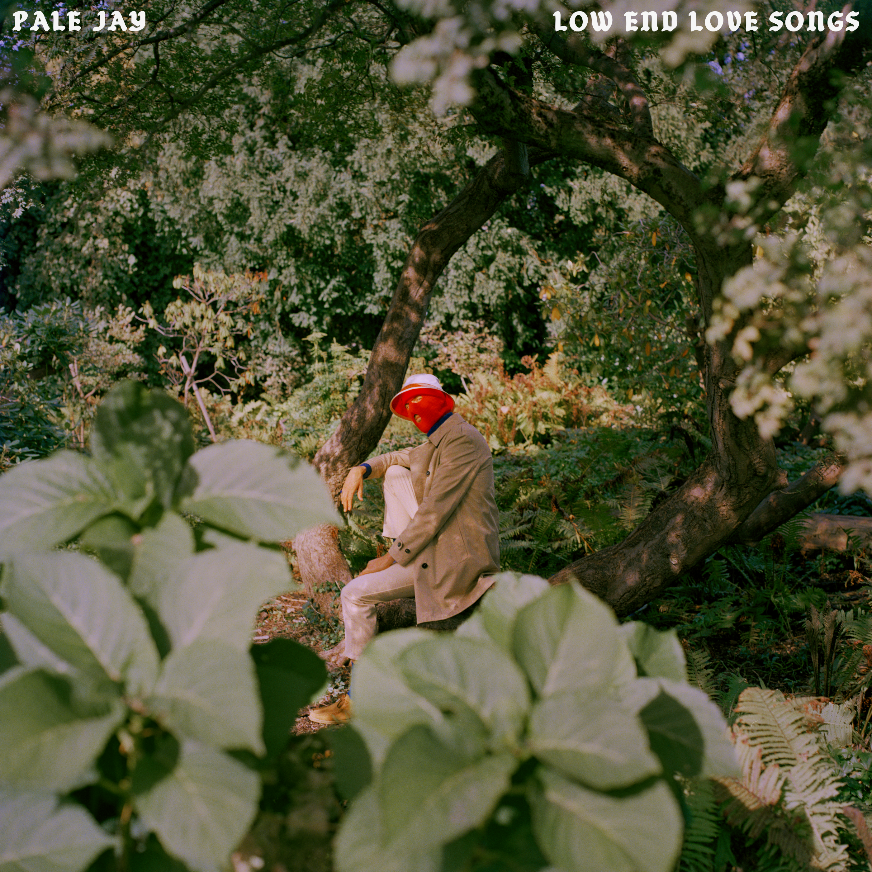 Pale Jay Low End Love Songs vinyle LP storm cloud soul