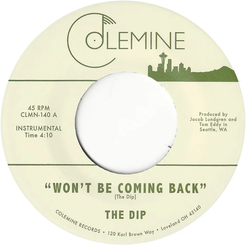 The Dip Won't Be Coming Back vinyle 45 soul
