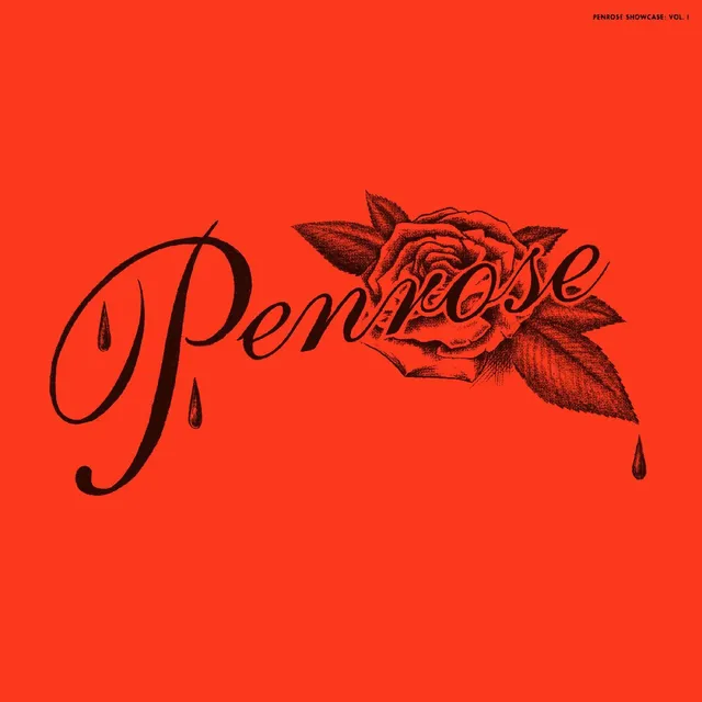 Penrose Showcase Vol.1 vinyle LP splatter compilation sweet soul