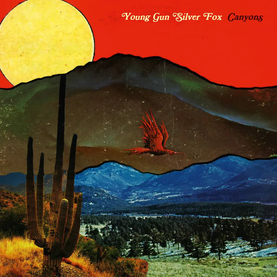 Young Gun Silver Fox Canyons LP vinyle jaune opaque