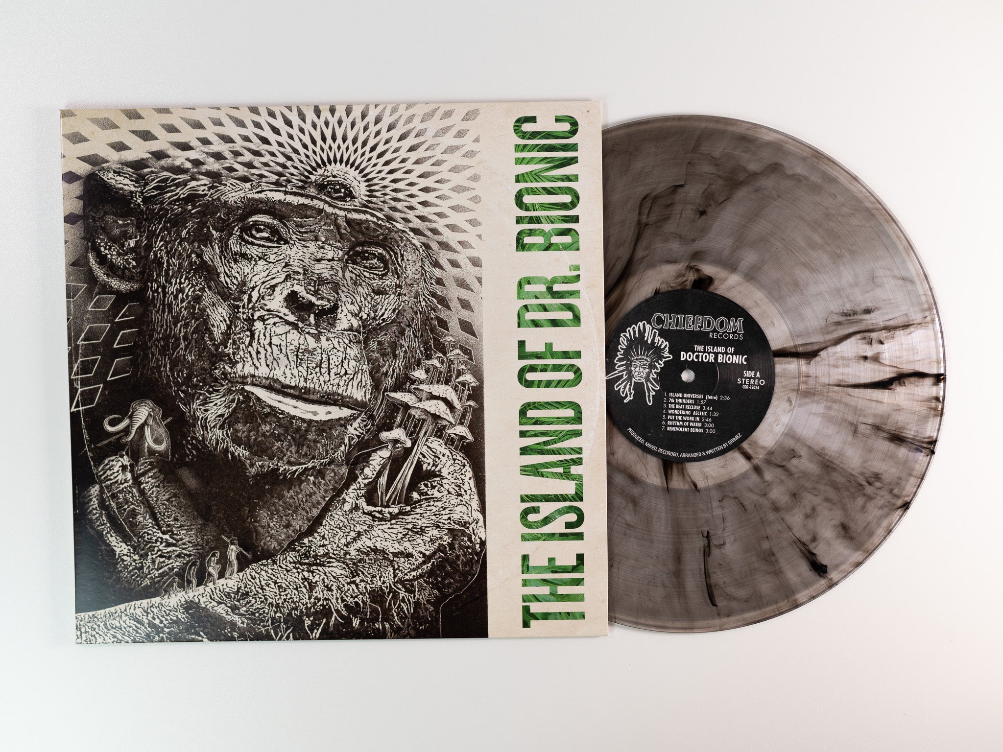 Doctor Bionic Island Of Doctor Bionic LP vinyle noir instrumental
