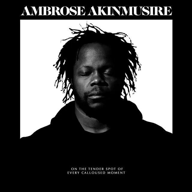 Blue Note Ambrose Akinmusire CD on the tender spot