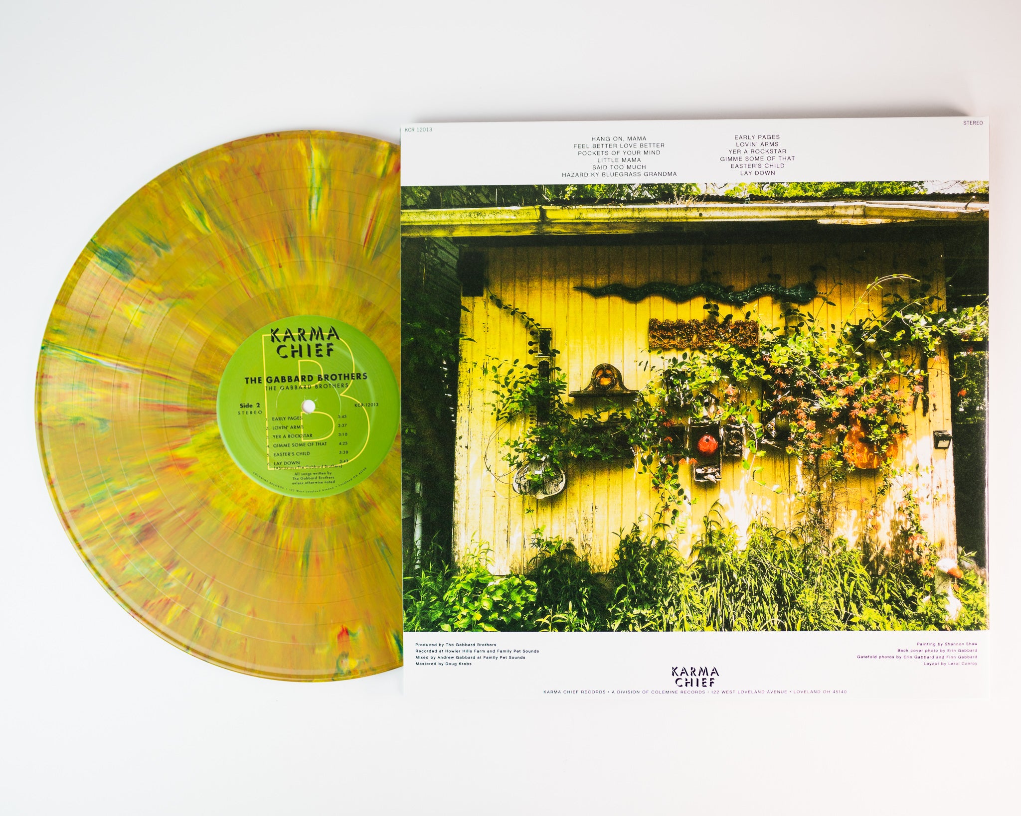 The Gabbard Brothers album vinyle LP earth haze