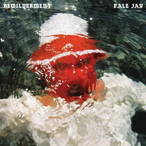 Pale Jay Bewilderment vinyle LP vert slow disco soul