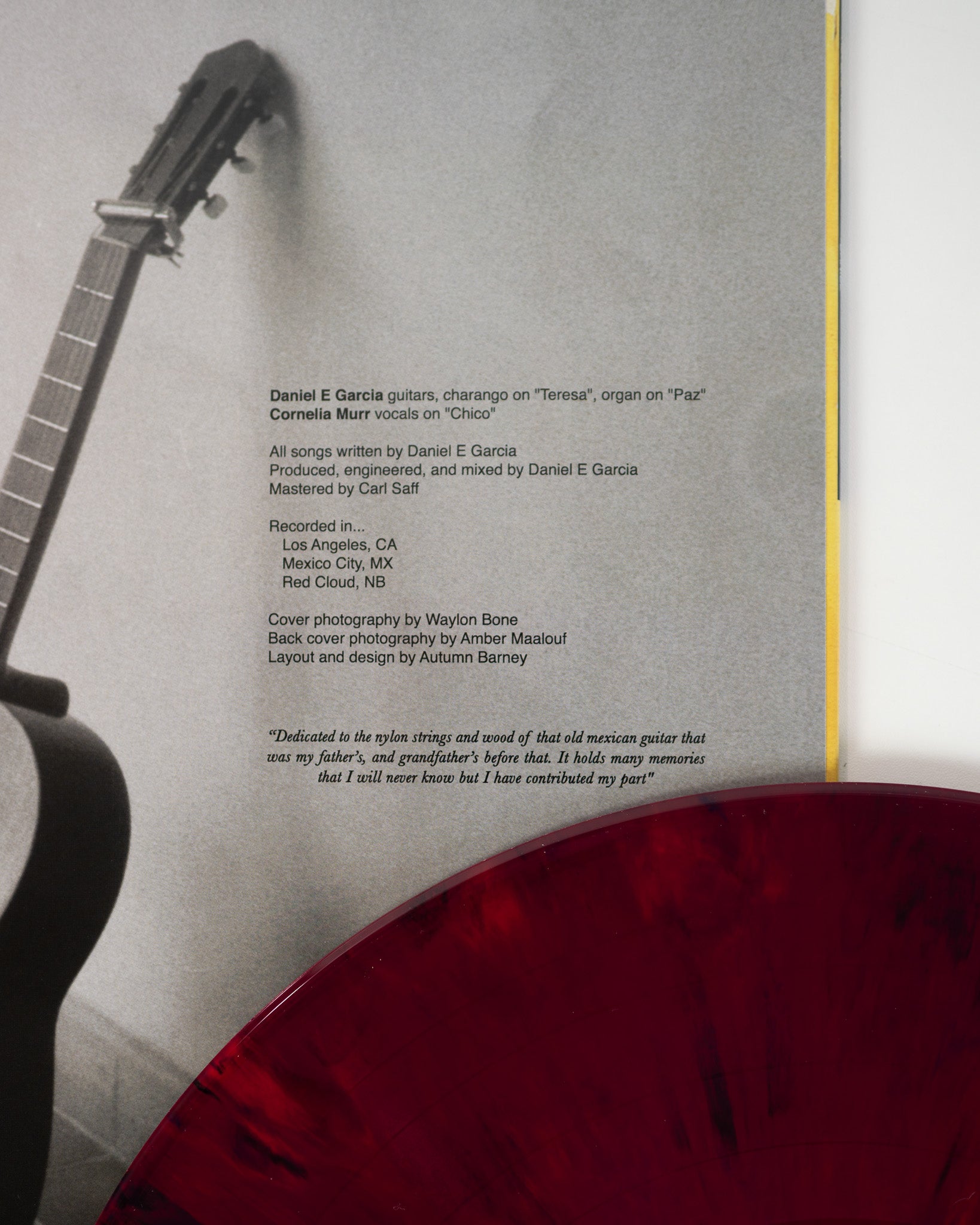 Reverend Baron Daniel Vinyle LP maroon swirl acoustique