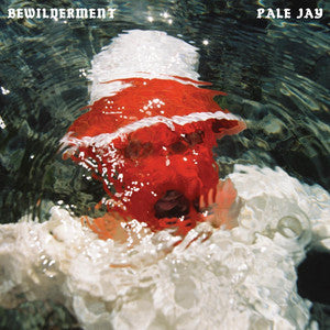 Pale Jay Bewilderment vinyle LP vert slow disco soul