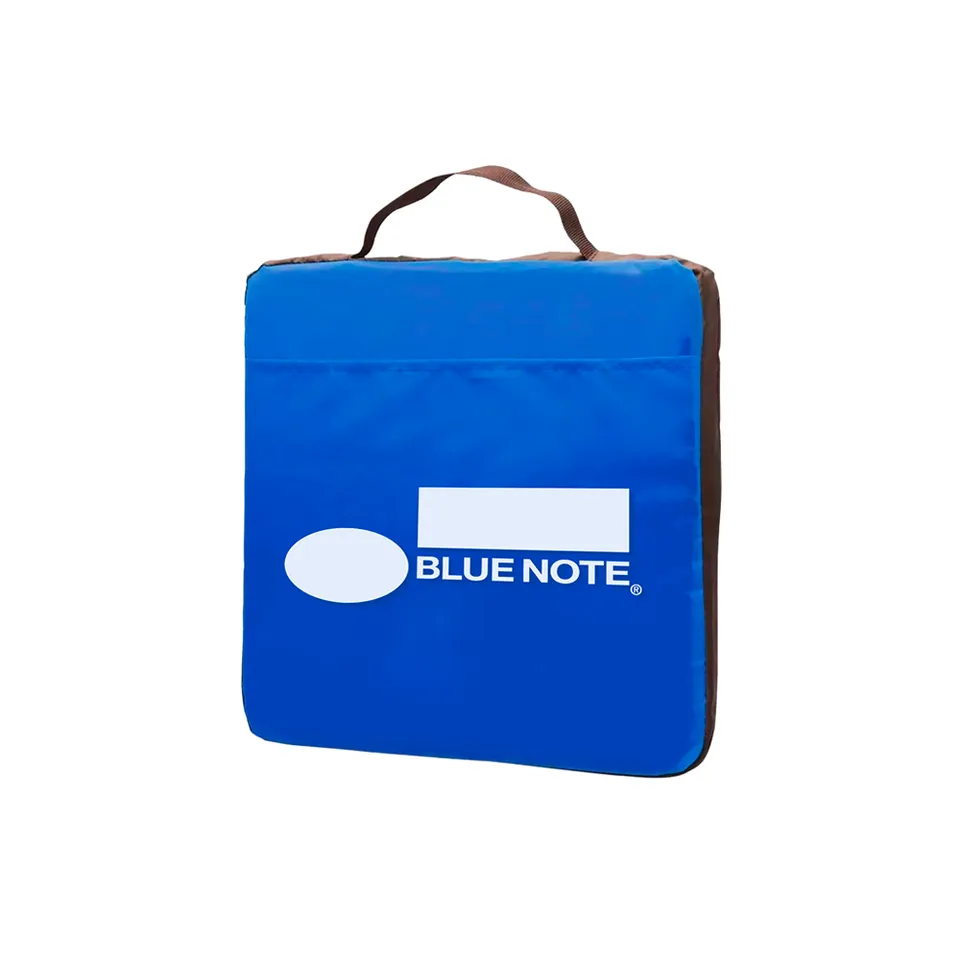 Blue Note Home Goods coussin stade logo bleu 12,5 pouces
