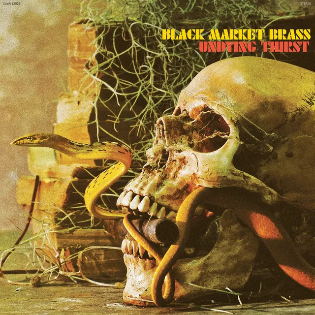 Black Market Brass Undying Thirst vinyle LP noir