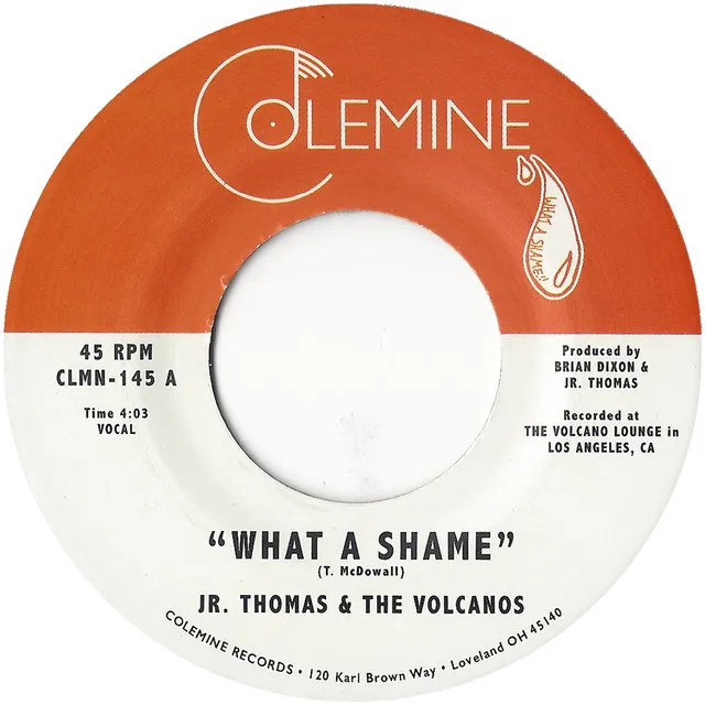 Jr. Thomas What A Shame vinyle 45T 7 pouces reggae