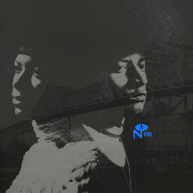Various Skyway Soul Gary Indiana double vinyle bleu swirl