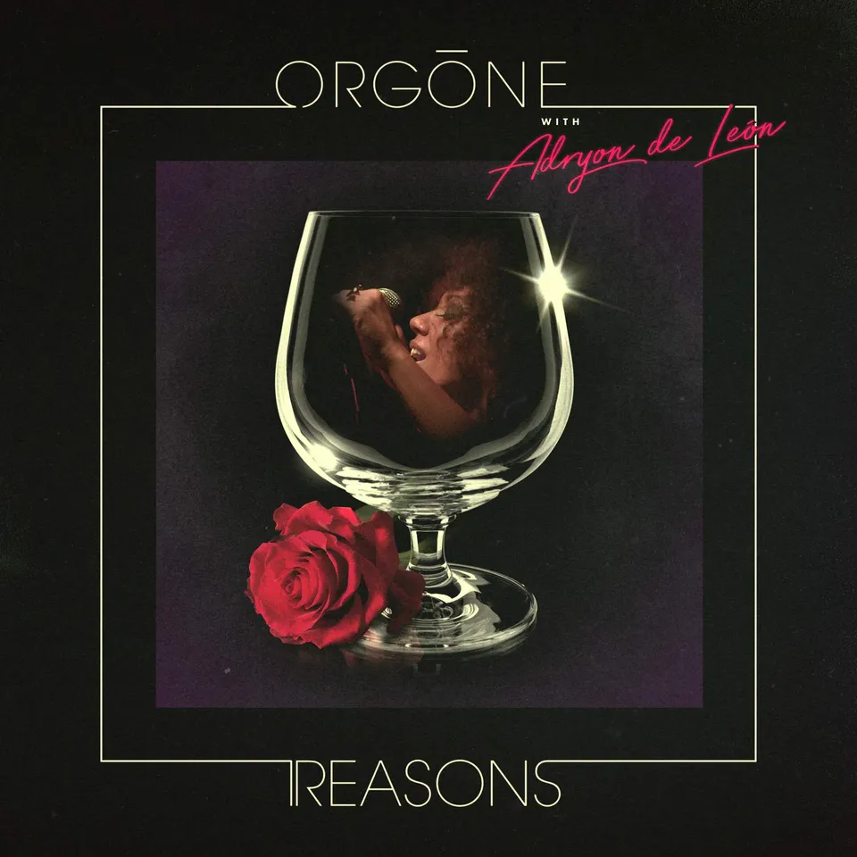 Orgone Reasons disque vinyle LP funk soul