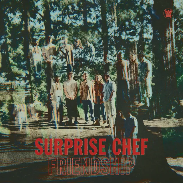 Surprise Chef Friendship EP vinyle Friendly Skies LP