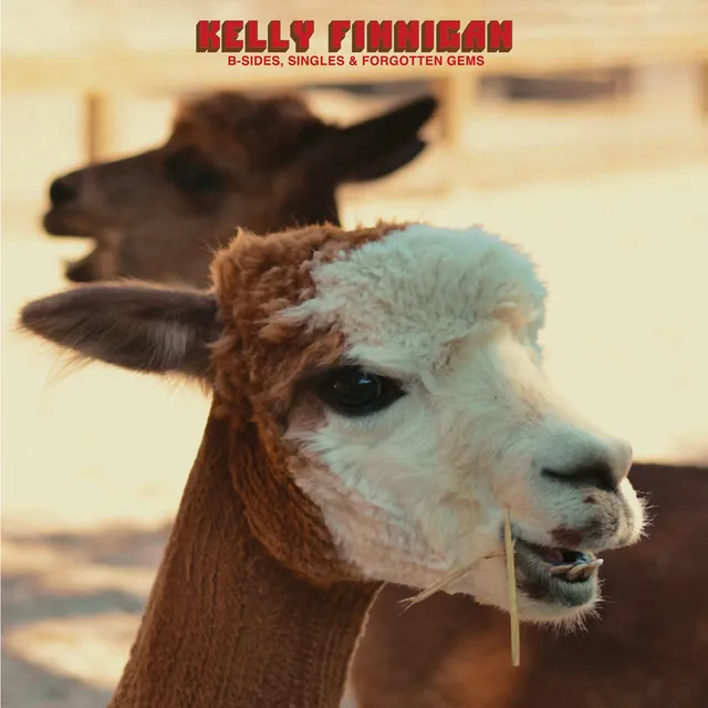 Kelly Finnigan B-Sides Singles LP vinyle rouge soul