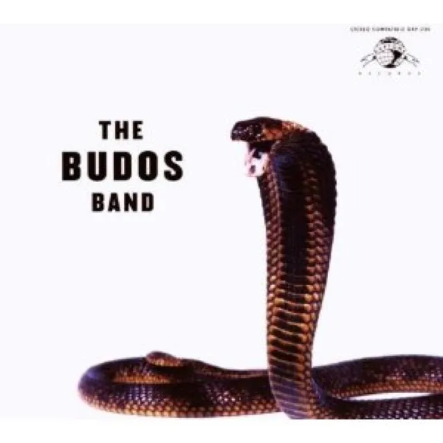 Budos Band III vinyle LP afro-funk Daptone