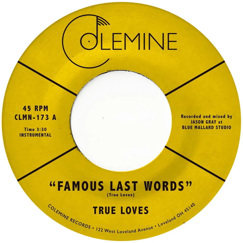 True Loves Famous Last Words vinyle 45t violet funk