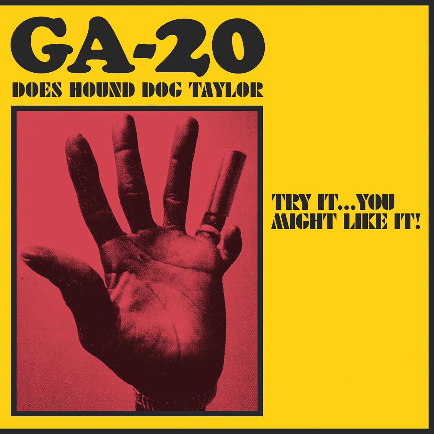 GA-20 Try It You Might Like It LP vinyle Sour Mash blues