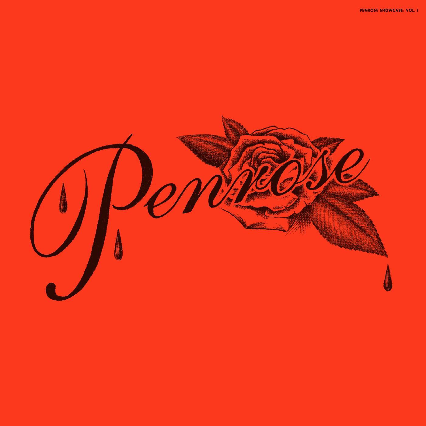 Penrose Showcase Vol.1 vinyle LP splatter compilation sweet soul