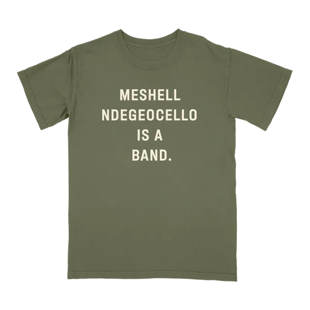 Blue Note Meshell Ndegeocello Is A Band t-shirt coton