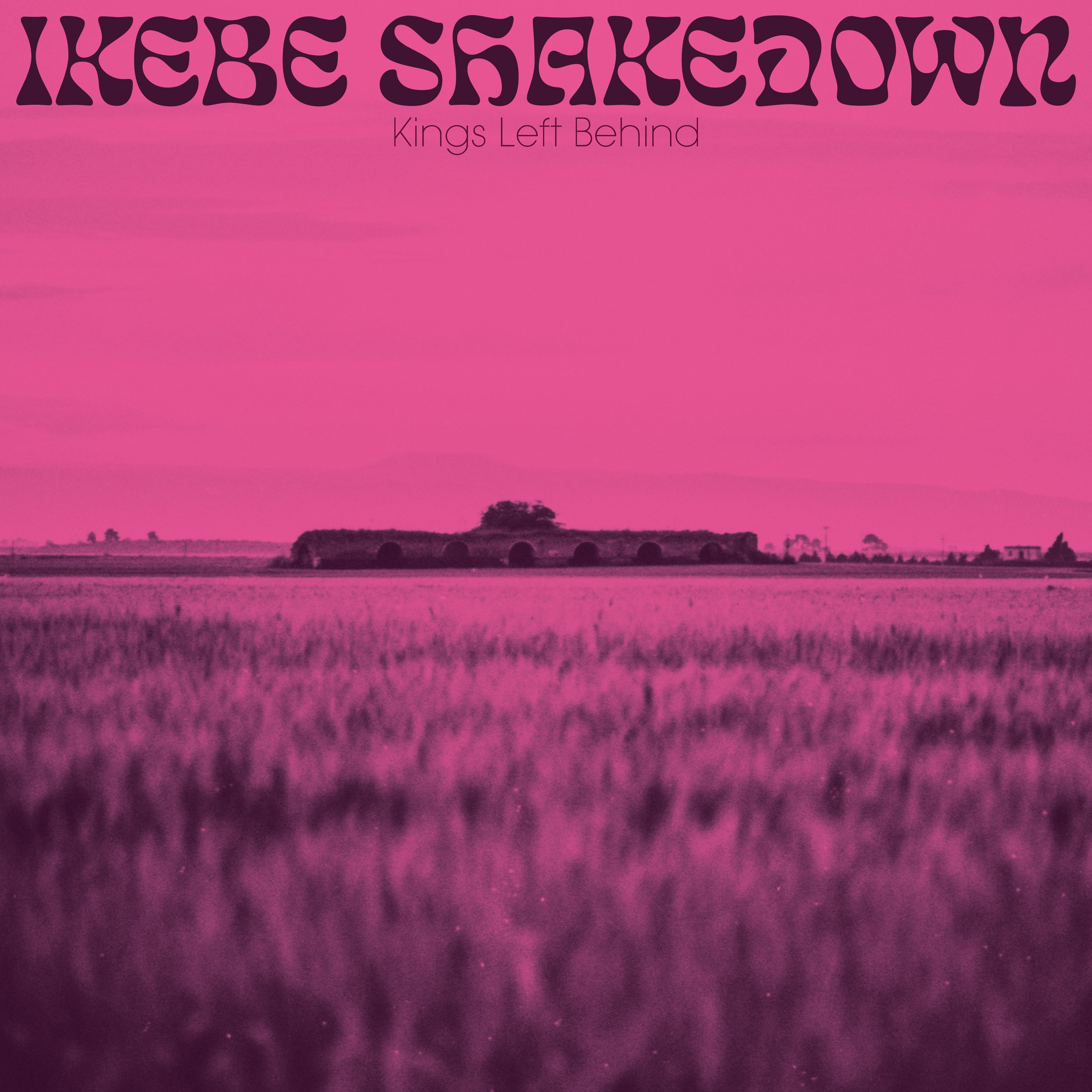 Ikebe Shakedown Kings Left Behind vinyle rose LP soul