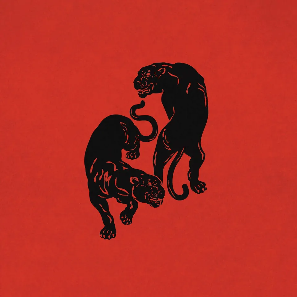 Black Pumas Colors 45 tours vinyle 7 pouces black soul live