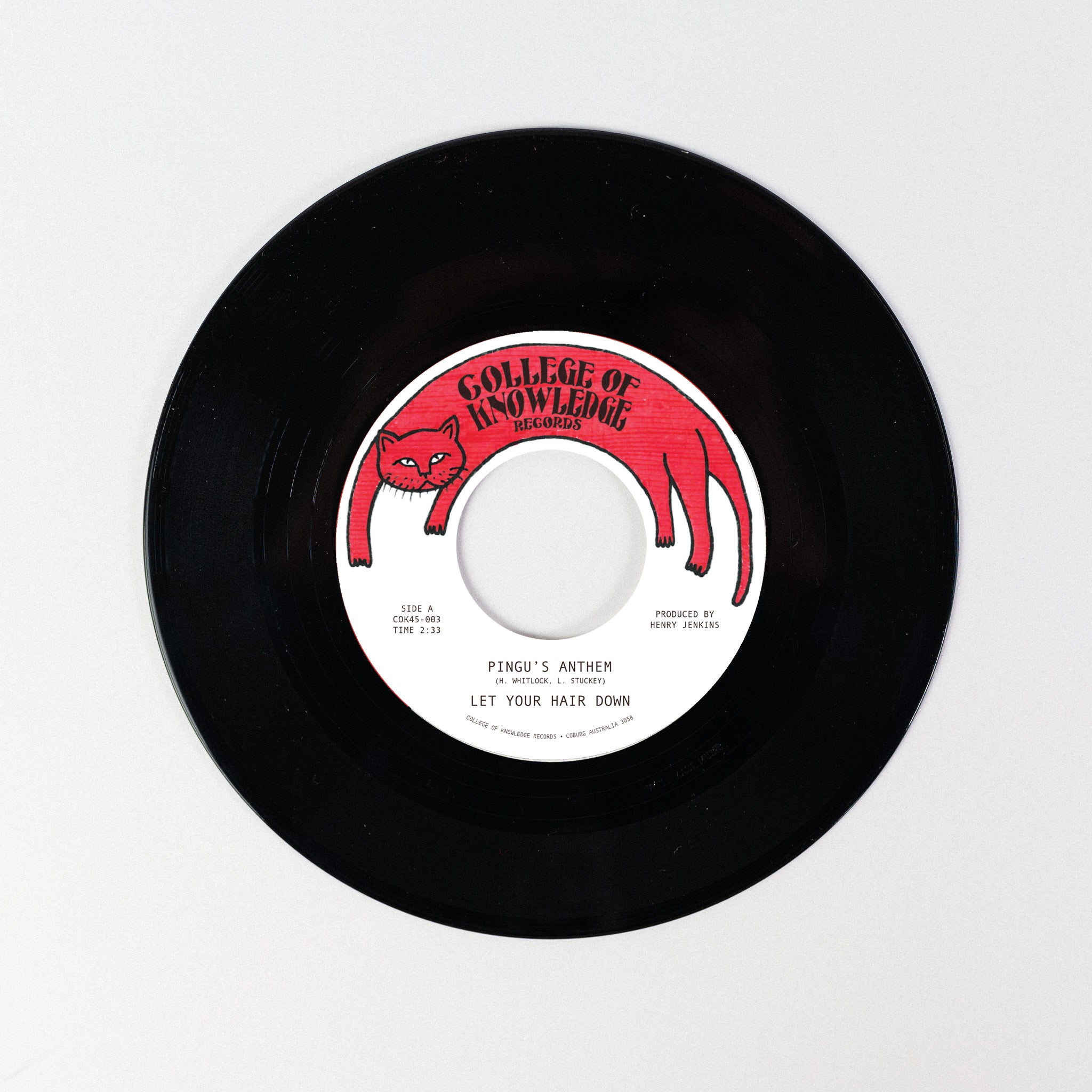 Let Your Hair Down Pingu's Anthem 45 tours vinyle noir