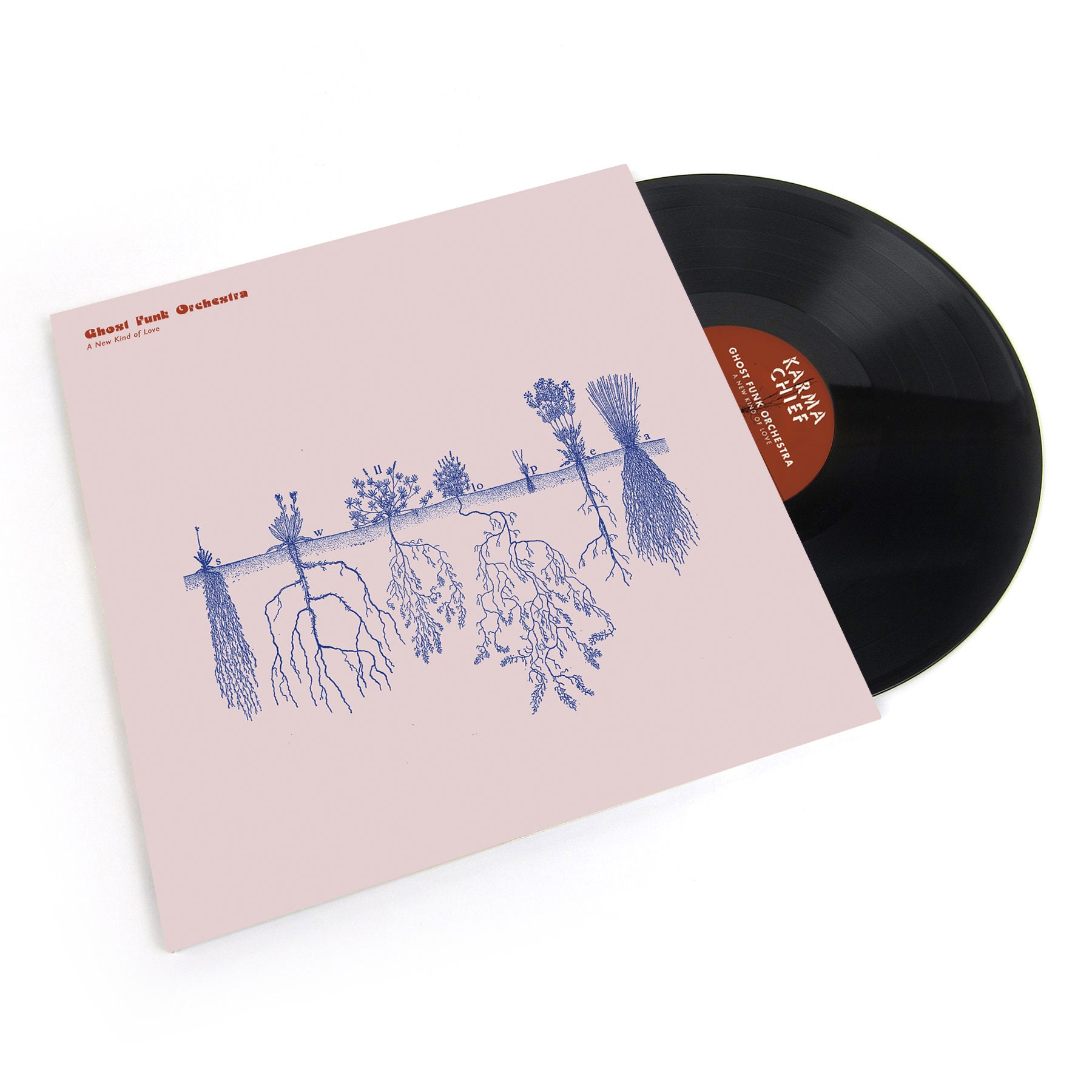 Ghost Funk Orchestra A New Kind Of Love vinyle LP rose psych jazz